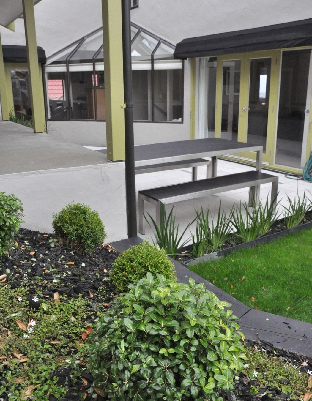 View over Pittosporum 'golden ball' towards new paved seating area of this contemporary courtyard garden