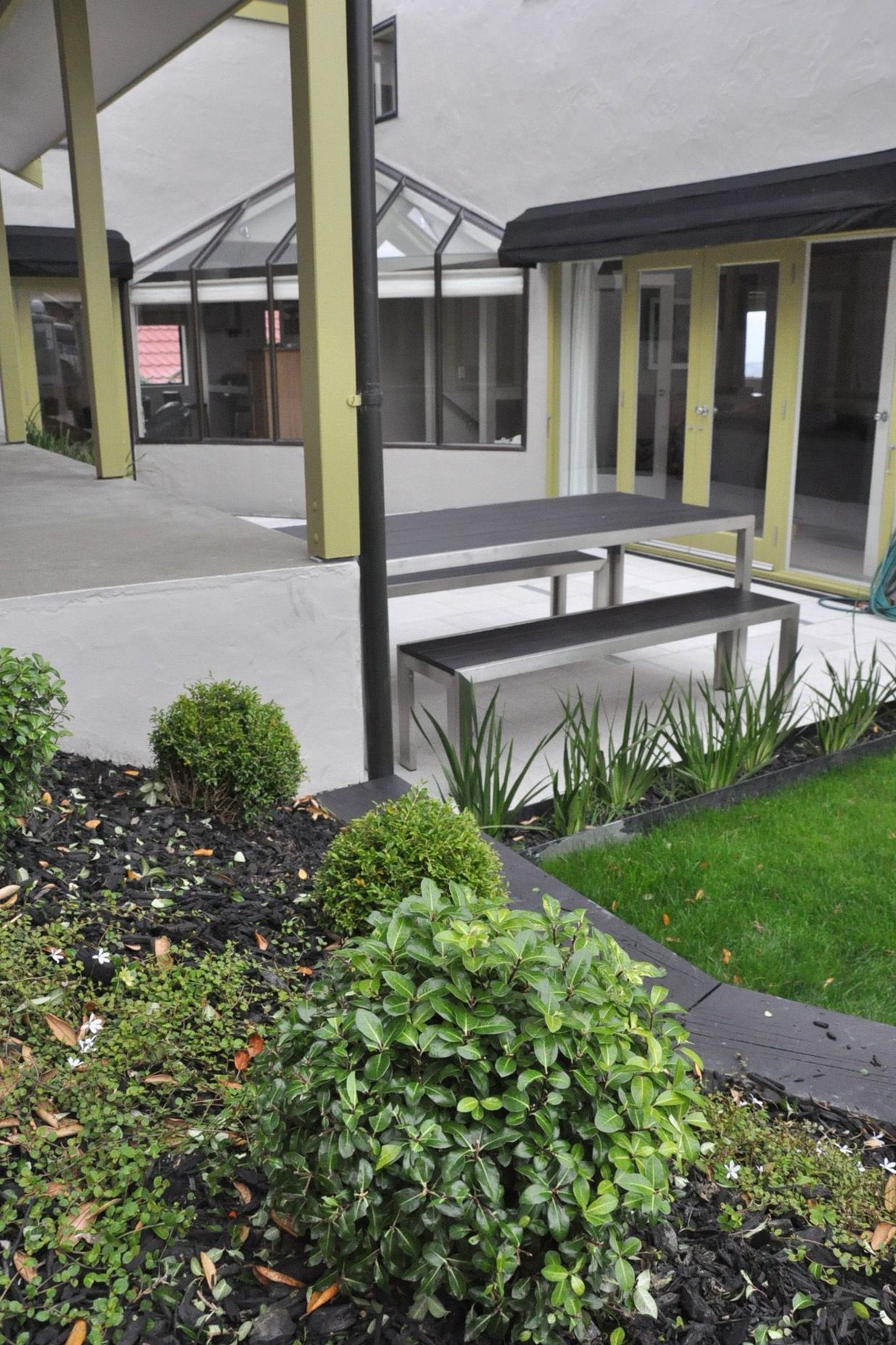 View over Pittosporum 'golden ball' towards new paved seating area of this contemporary courtyard garden