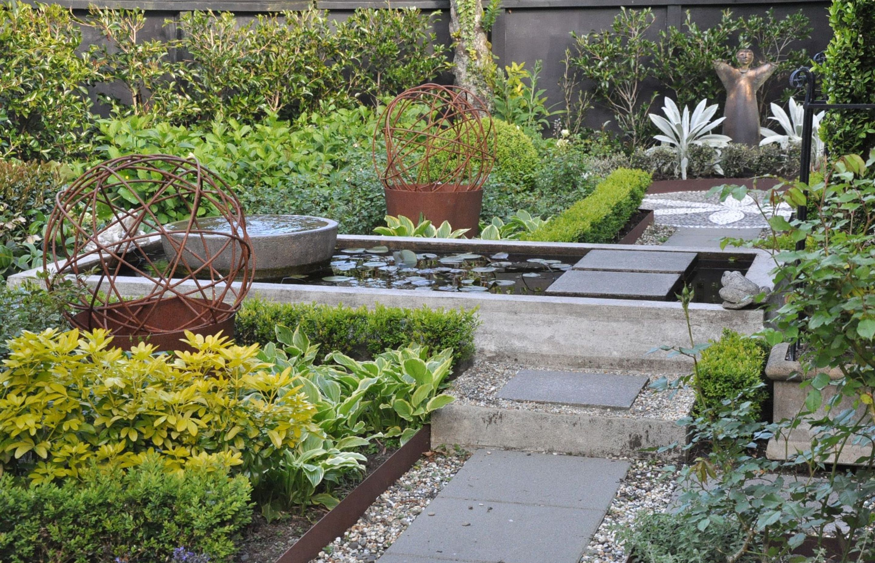 Paved pathway set into gravel chip and CorTen steel garden edging looking toward fountain. Planting includes Ajuga reptans, Buxus 'green gem' and Choisya ternata 'sundance'. Wire balls surround the pond.