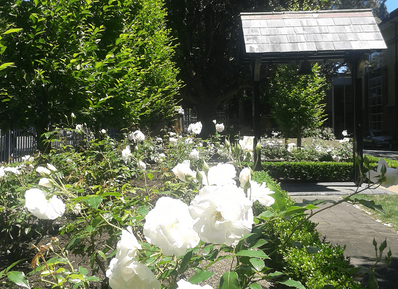 King's School Remuera | Auckland