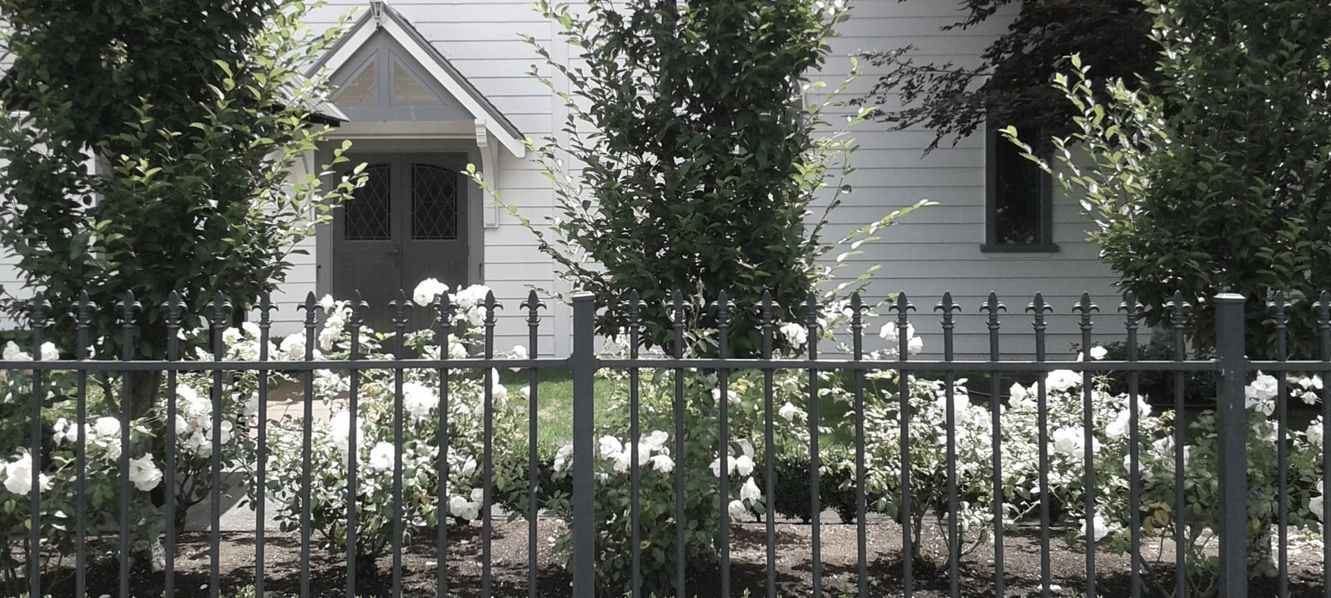 King's School Remuera | Auckland banner