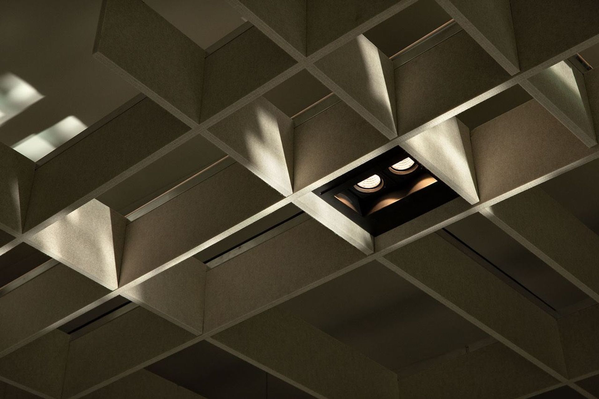 Xsite Architects worked with Autex and ECC to create the acoustic and lighting waffle panels over the kitchen, dining and lounge areas. Photograph: Simon Devitt.