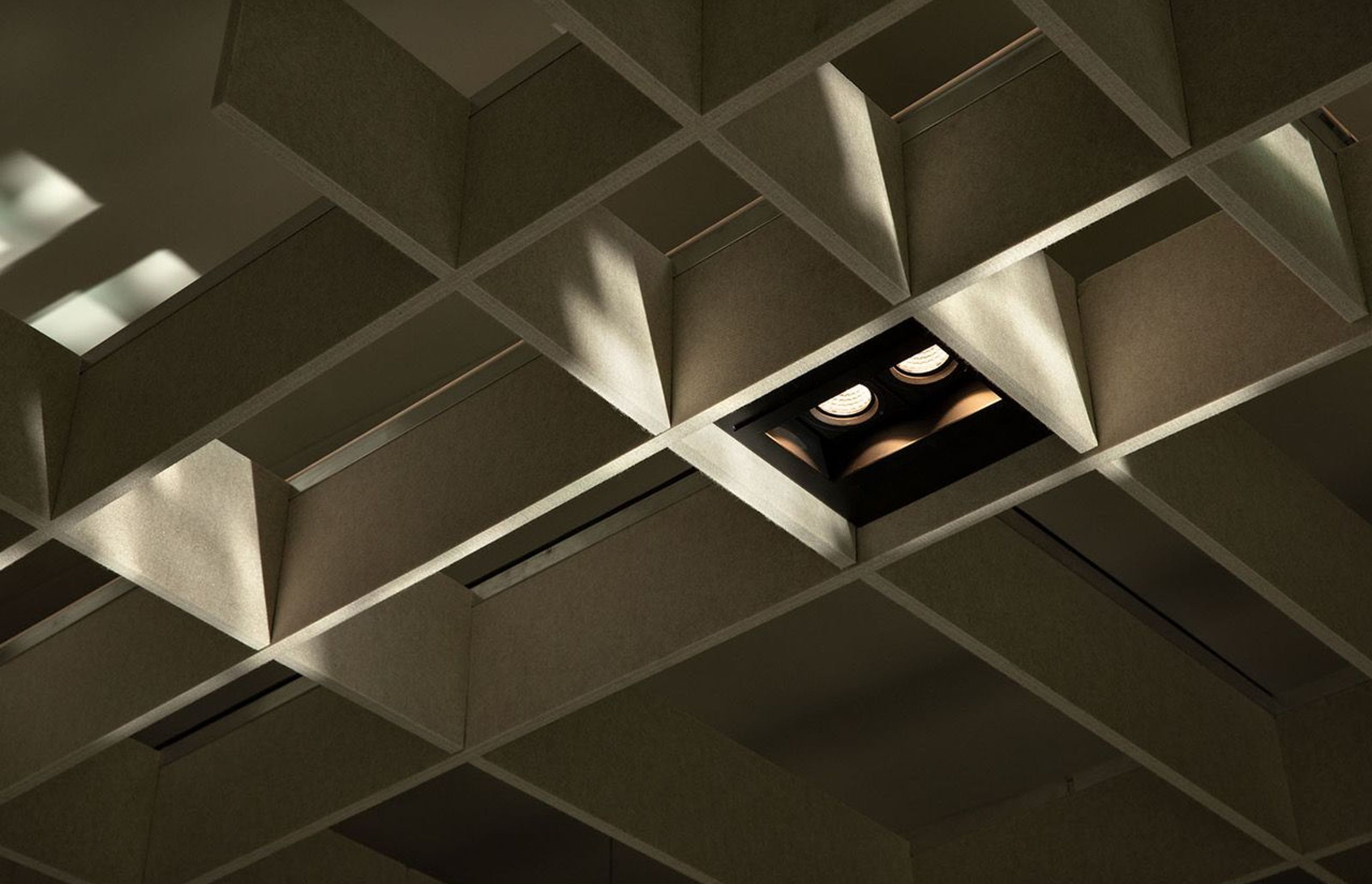 Xsite Architects worked with Autex and ECC to create the acoustic and lighting waffle panels over the kitchen, dining and lounge areas. Photograph: Simon Devitt.