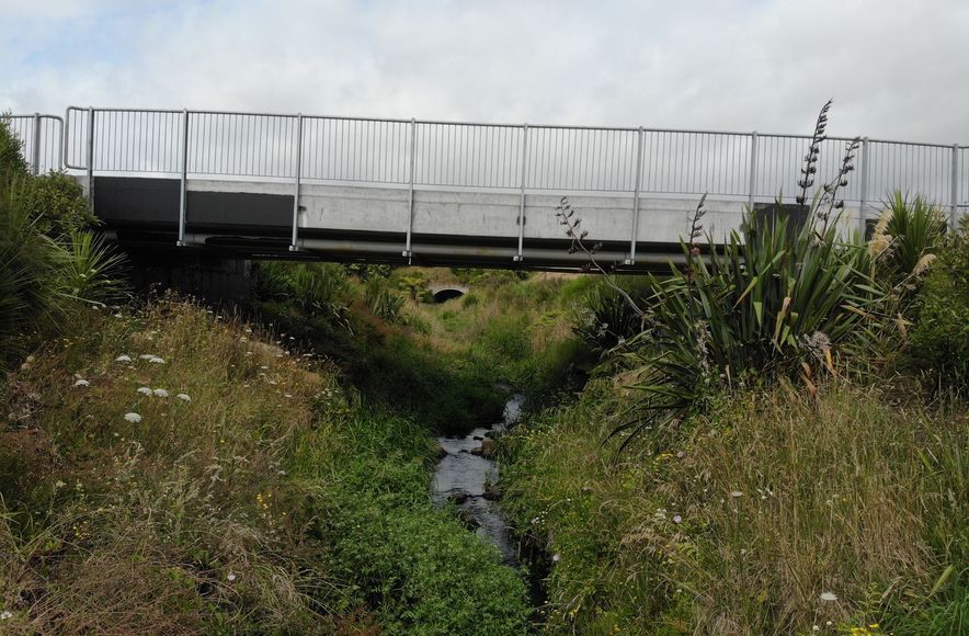 Kowhai Downs