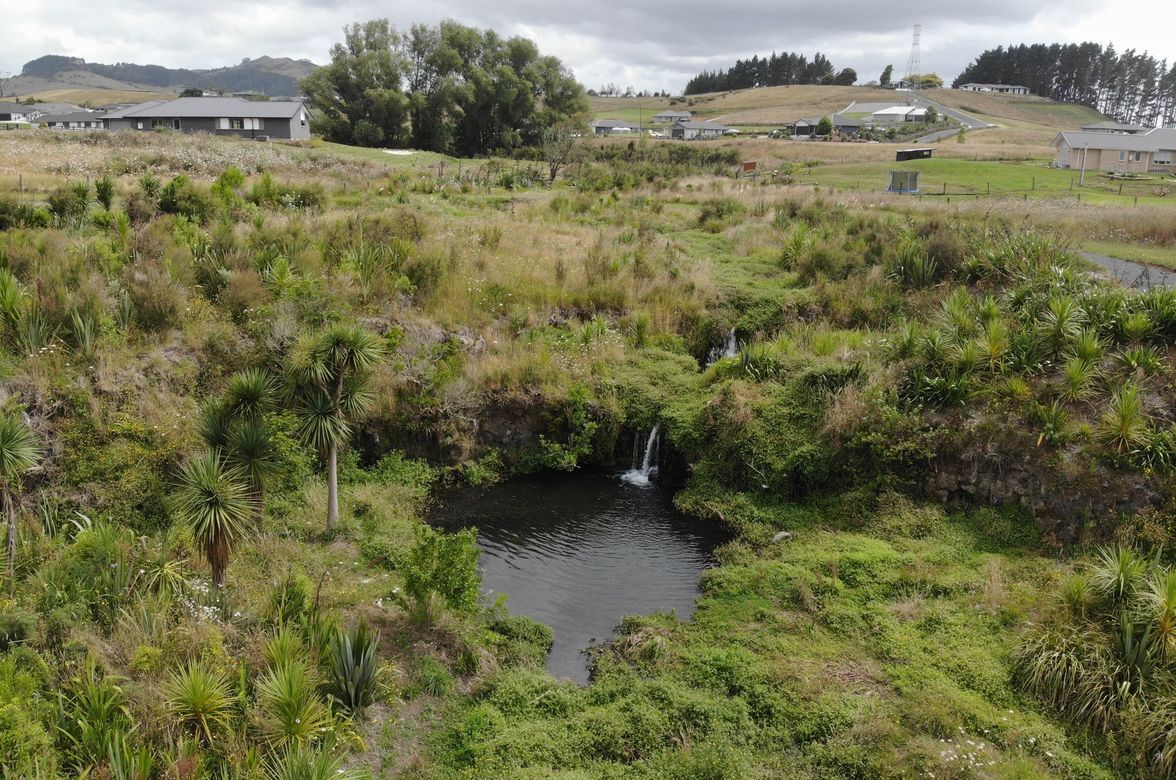 Kowhai Downs