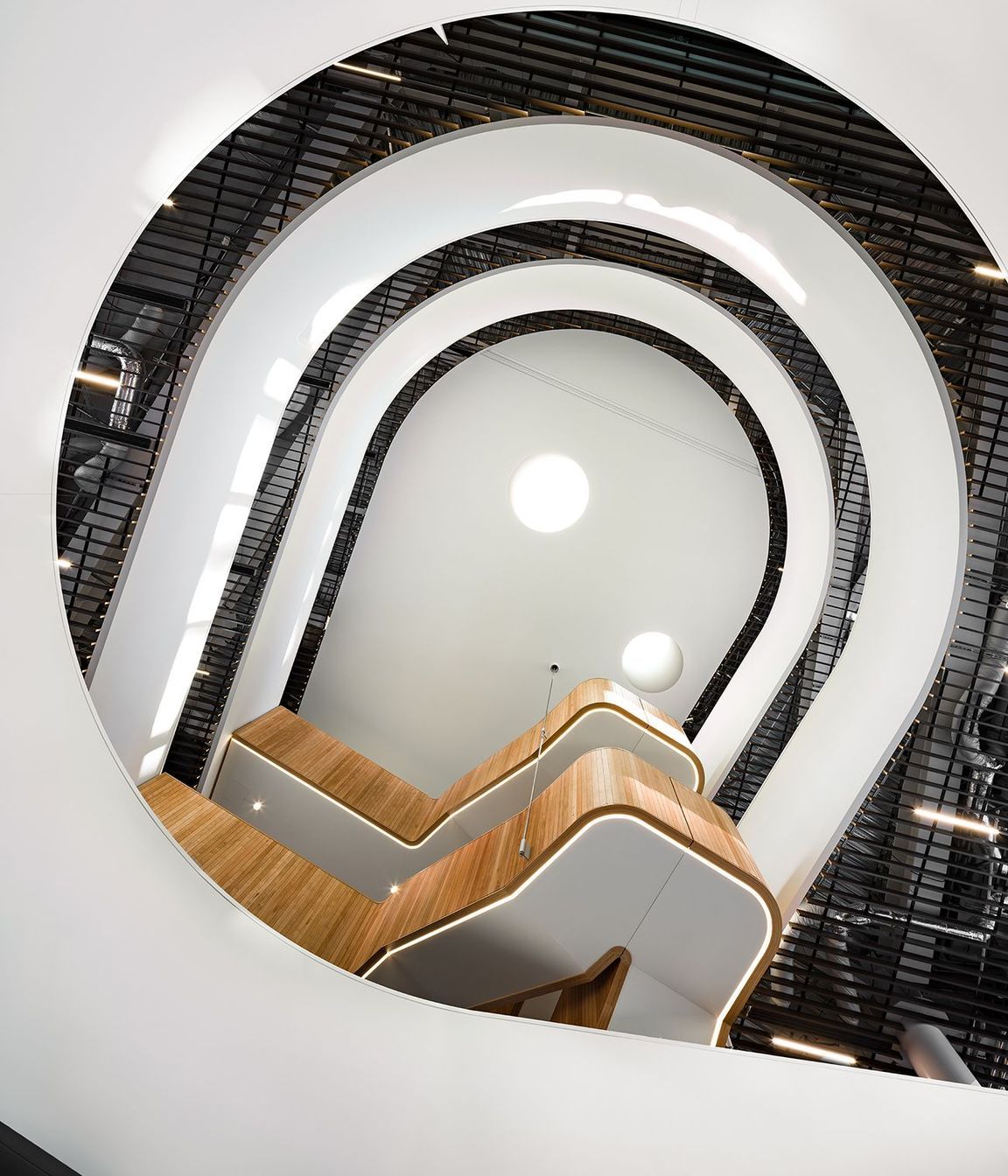  A circular light well in the centre of the atrium ceiling pulls light down through the building's five levels.