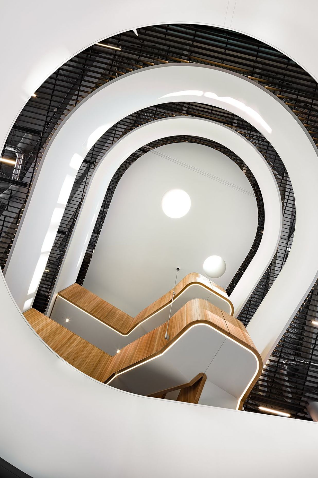  A circular light well in the centre of the atrium ceiling pulls light down through the building's five levels.