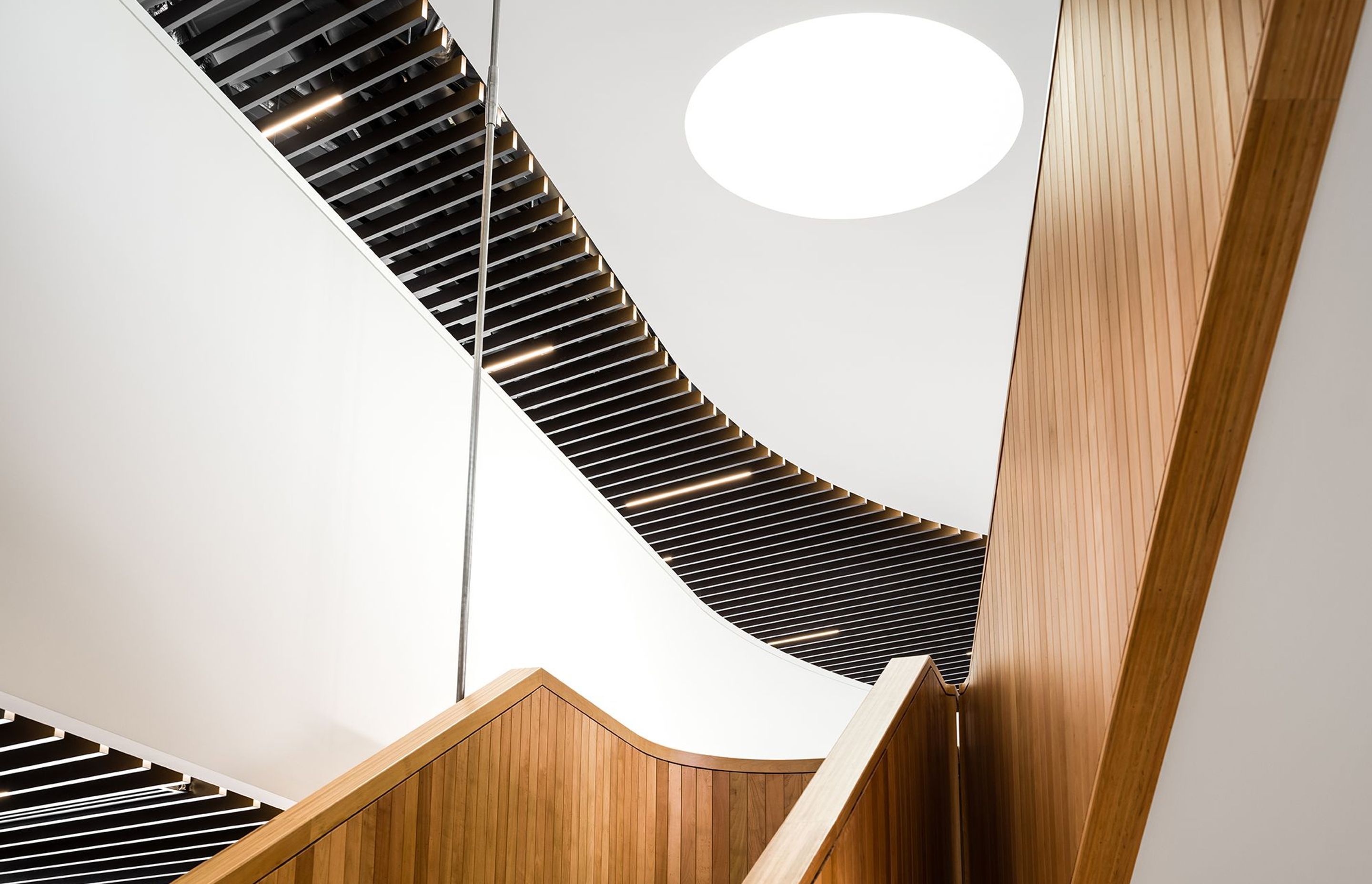Looking up the timber stairs to the circular lightwell, which draws light down through the five levels.