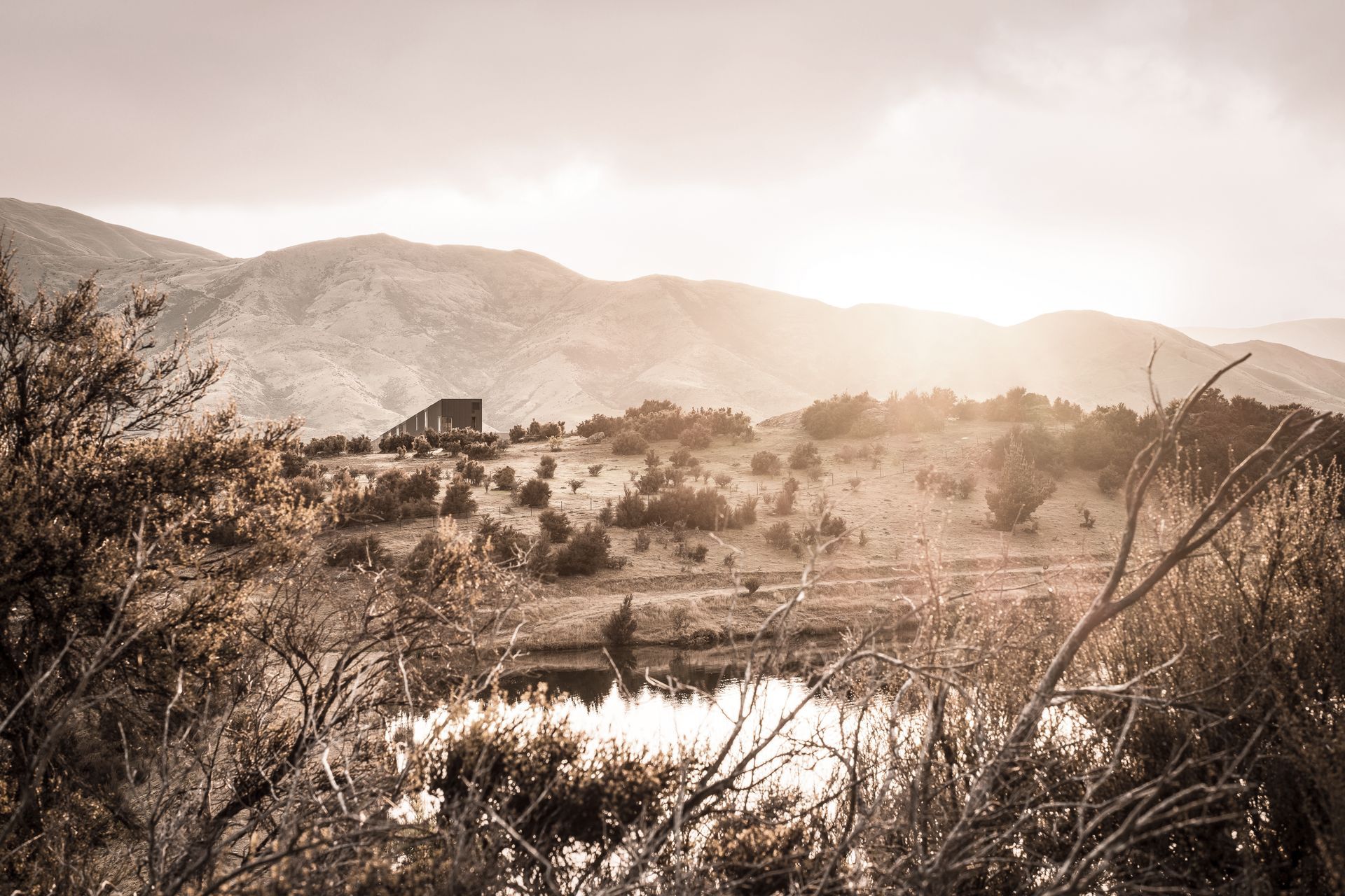 Supporting Image 1 for Lightforge Photography