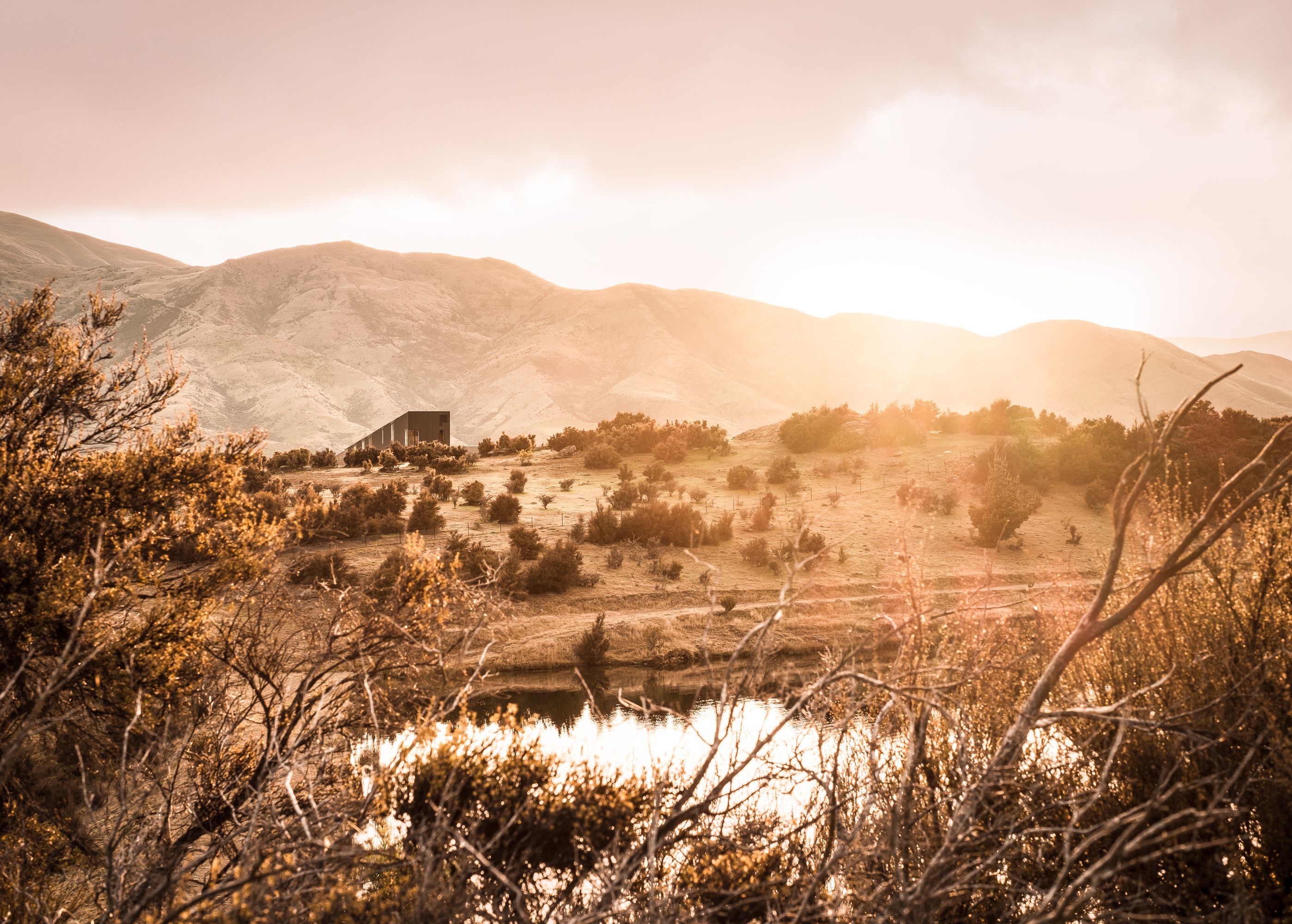 Lightforge Photography