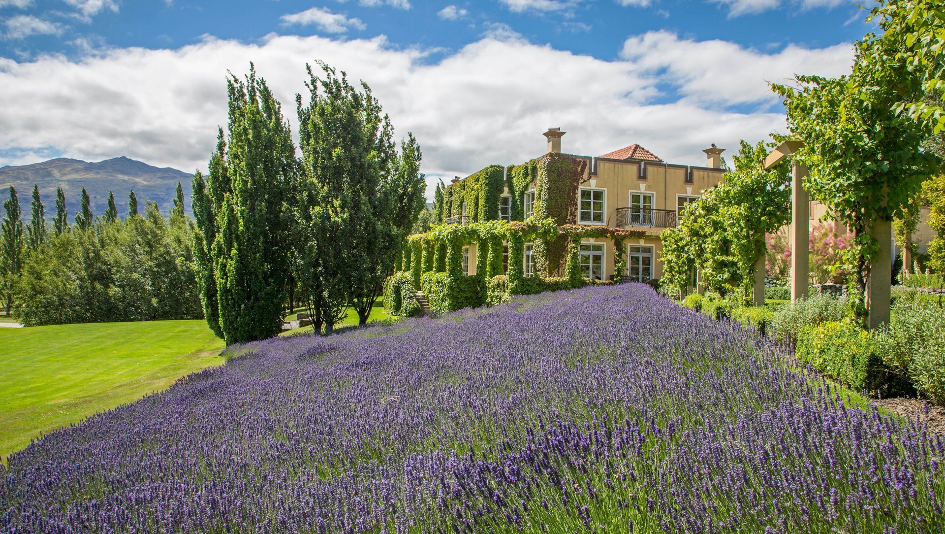 Lower Shotover House | Sir Michael Fowler & Ralf Kruger banner