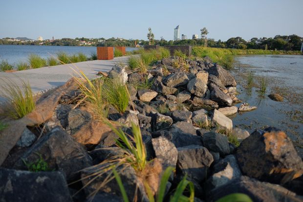 A landscaped waterfront edge with a paved pedestrian walkway crossing a rocky embankment, native grasses and wetland planting, and calm water on both sides. Low-rise urban development is visible across the water in the background. The scene is photographed in warm daylight and emphasizes the constructed shoreline and public outdoor path.