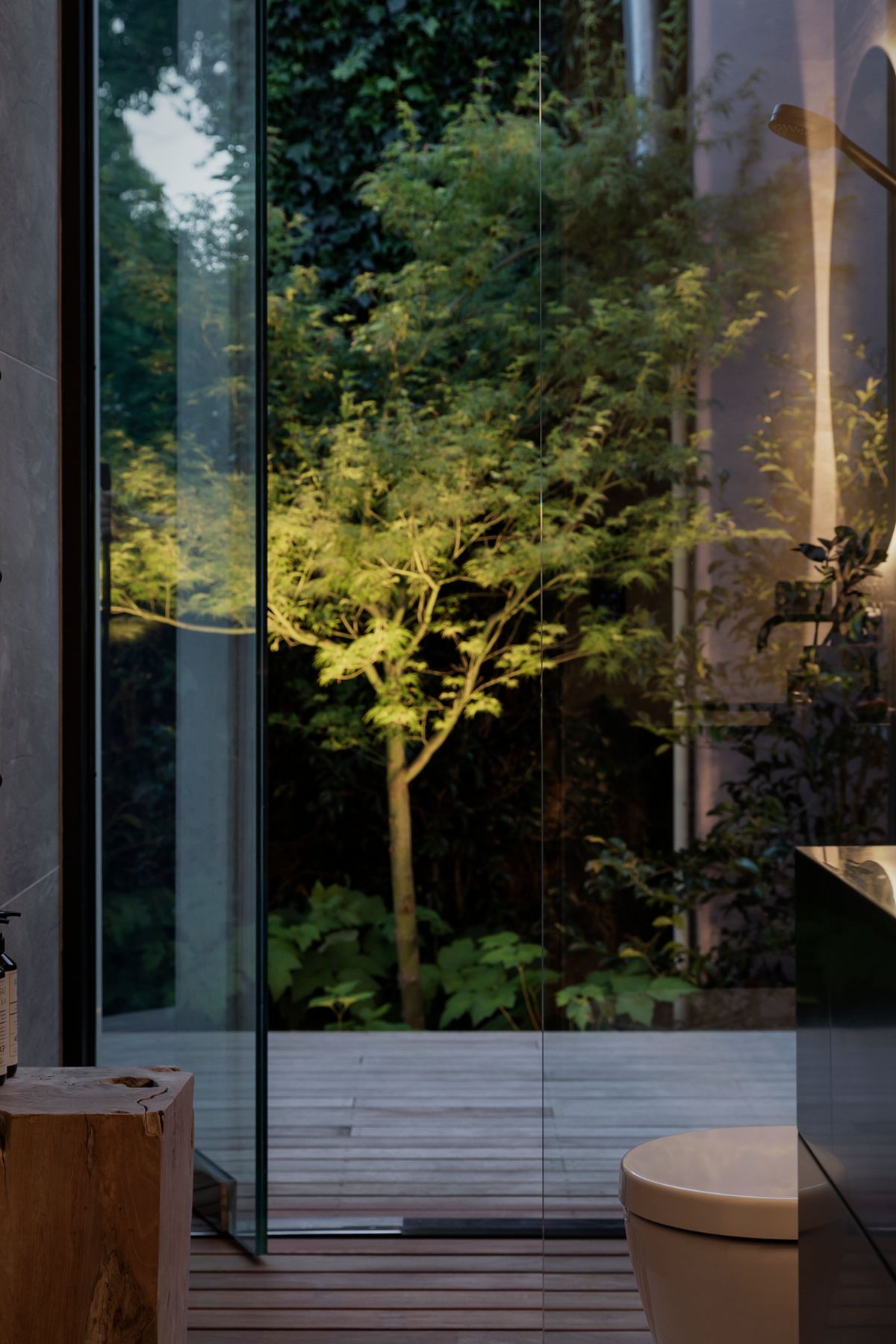 A maple tree in the adjacent bathroom forms a  sculptural form lit up at night.
