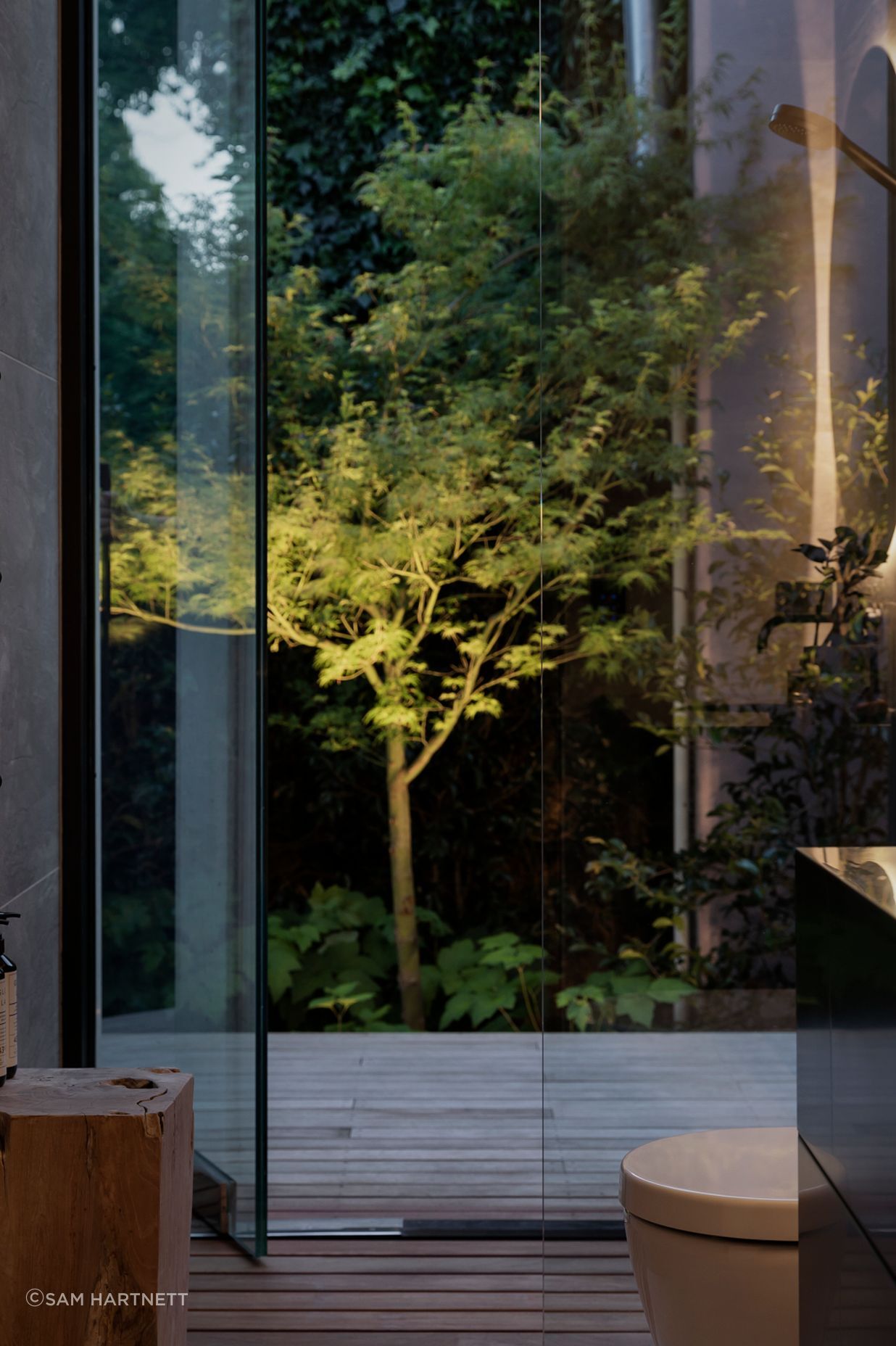 A maple tree in the adjacent bathroom forms a  sculptural form lit up at night.