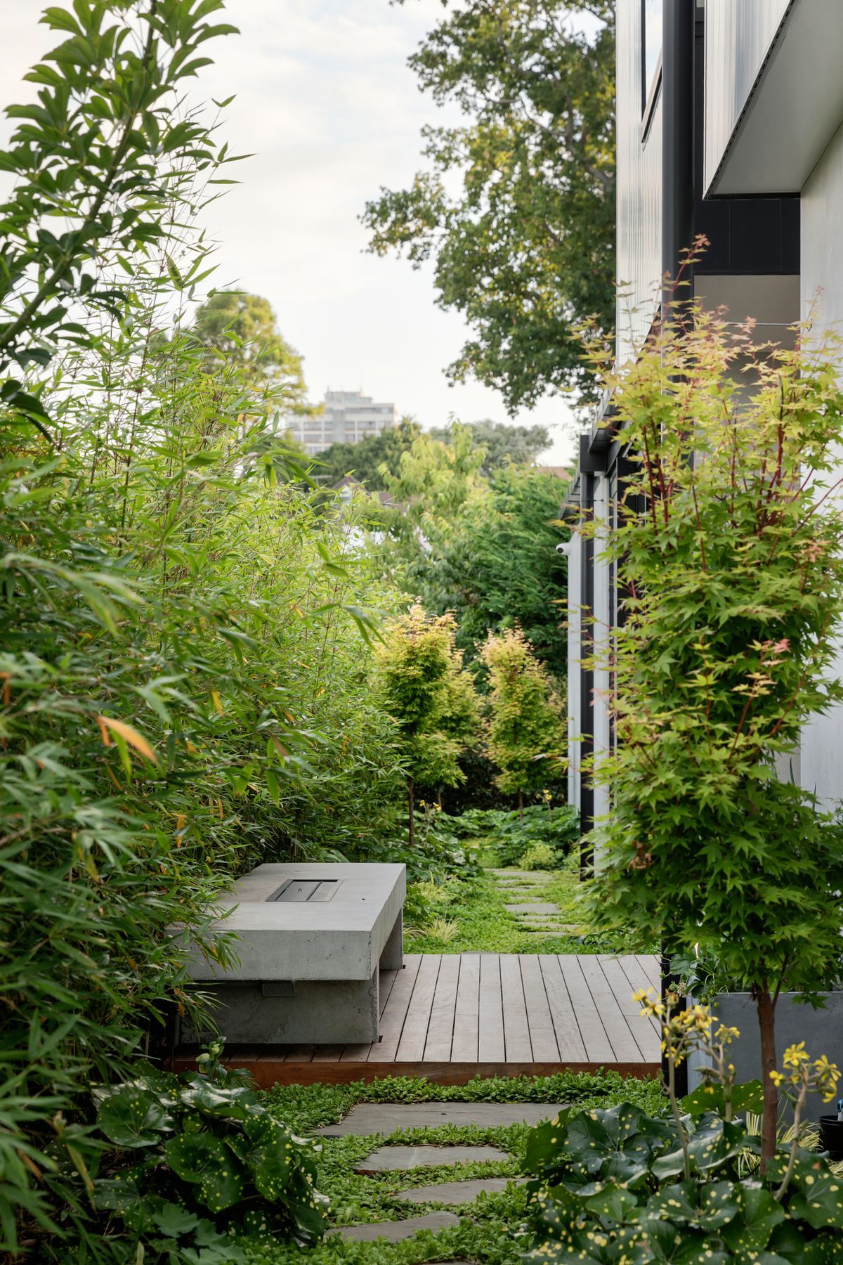A bamboo hedge and maple trees line the small courtyard leading into the dining area.