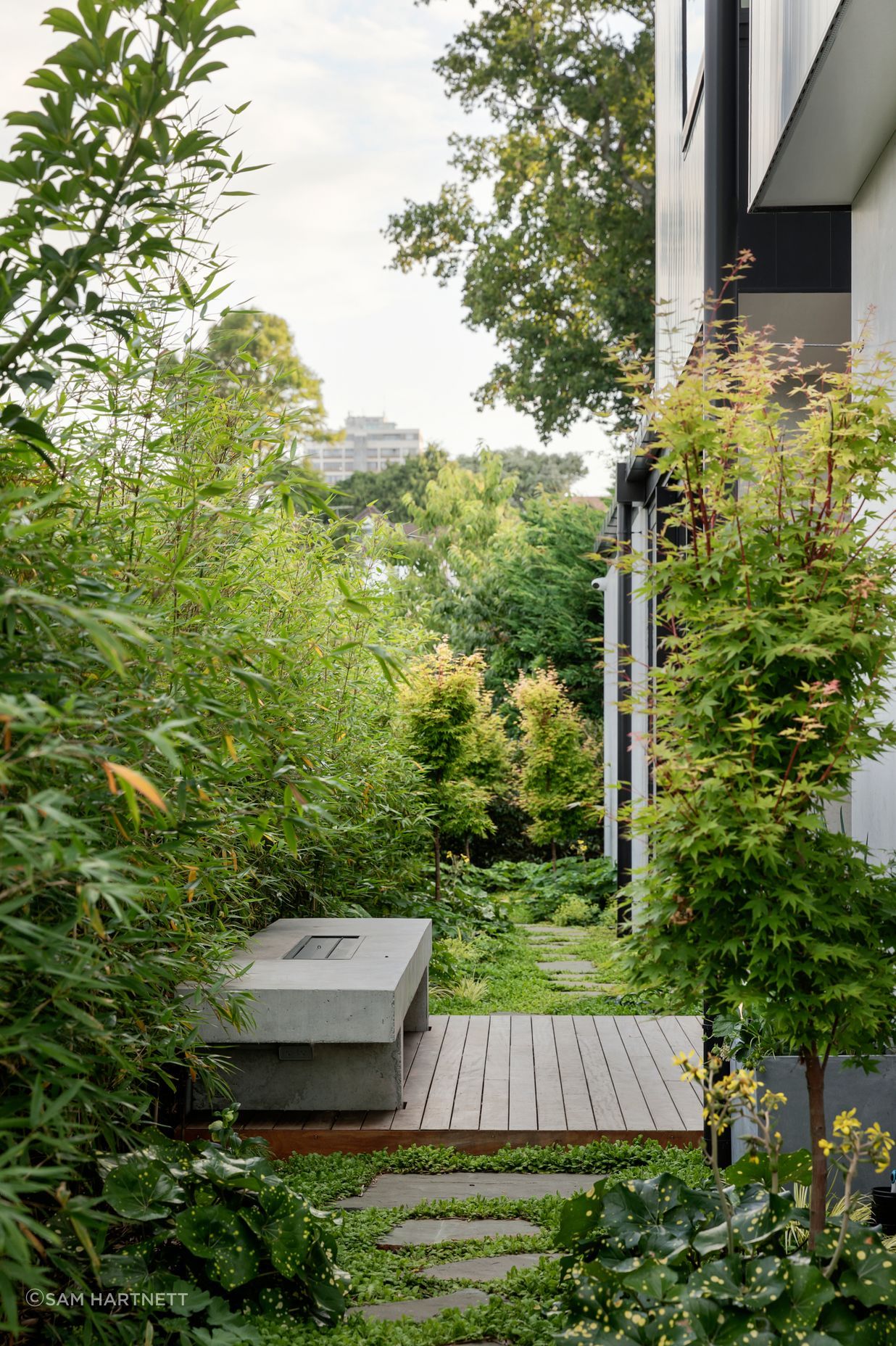 A bamboo hedge and maple trees line the small courtyard leading into the dining area.