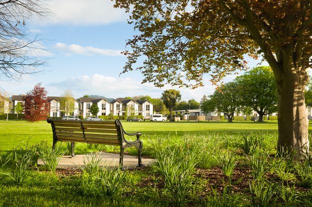A landscaped public green space viewed from beneath a large mature tree, with a park bench beside a paved path in the foreground. Ornamental grasses and planted garden beds frame a broad lawn, while low-rise residential buildings and additional trees sit in the background under a bright sky.
