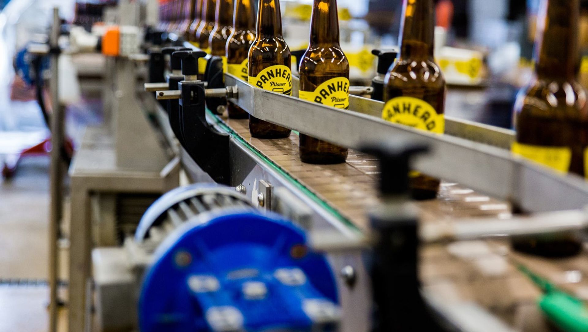 Lion Co. – Panhead Brewery banner