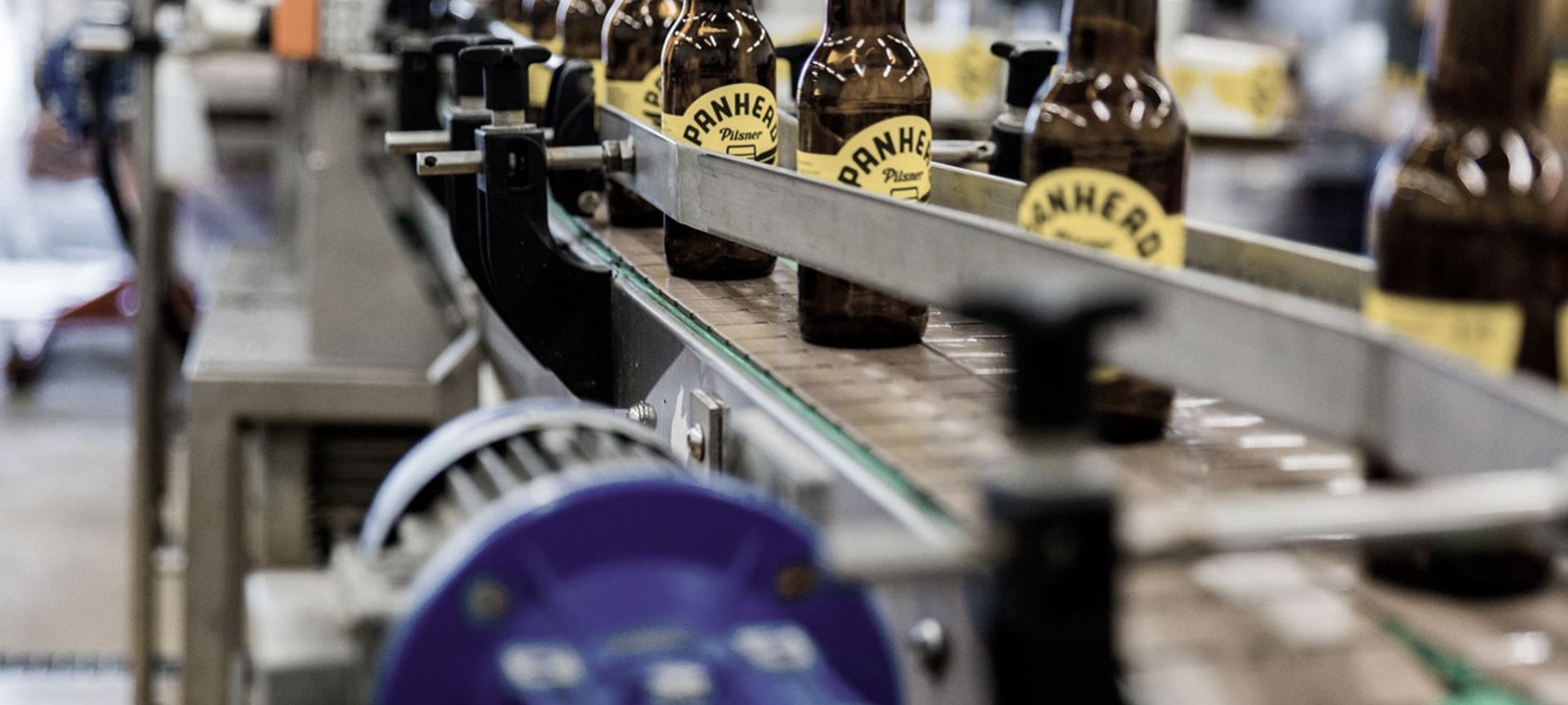 Lion Co. – Panhead Brewery banner