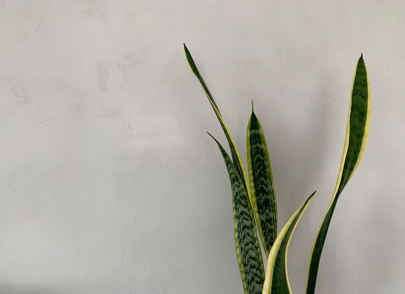 Living Room - Concrete Finish