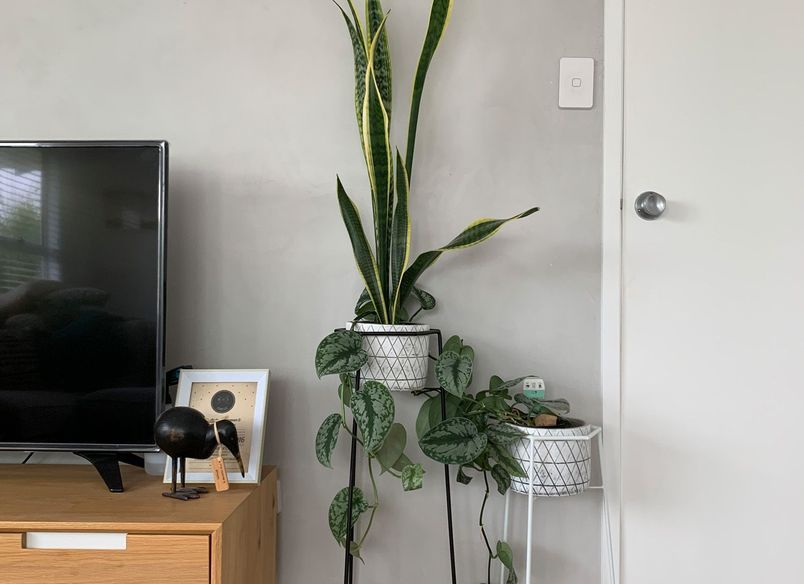 Living Room - Concrete Finish
