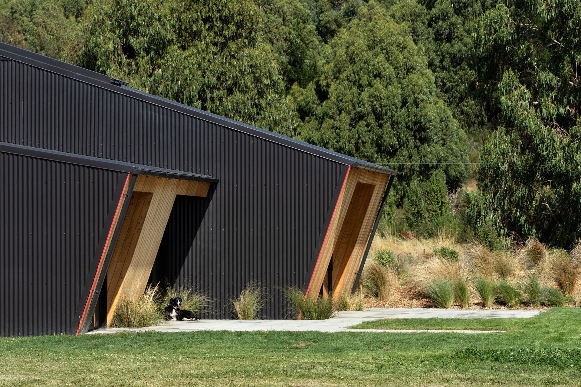 Vertical larch is juxtaposed with corrugated Colorsteel roofing that folds down from the roof.