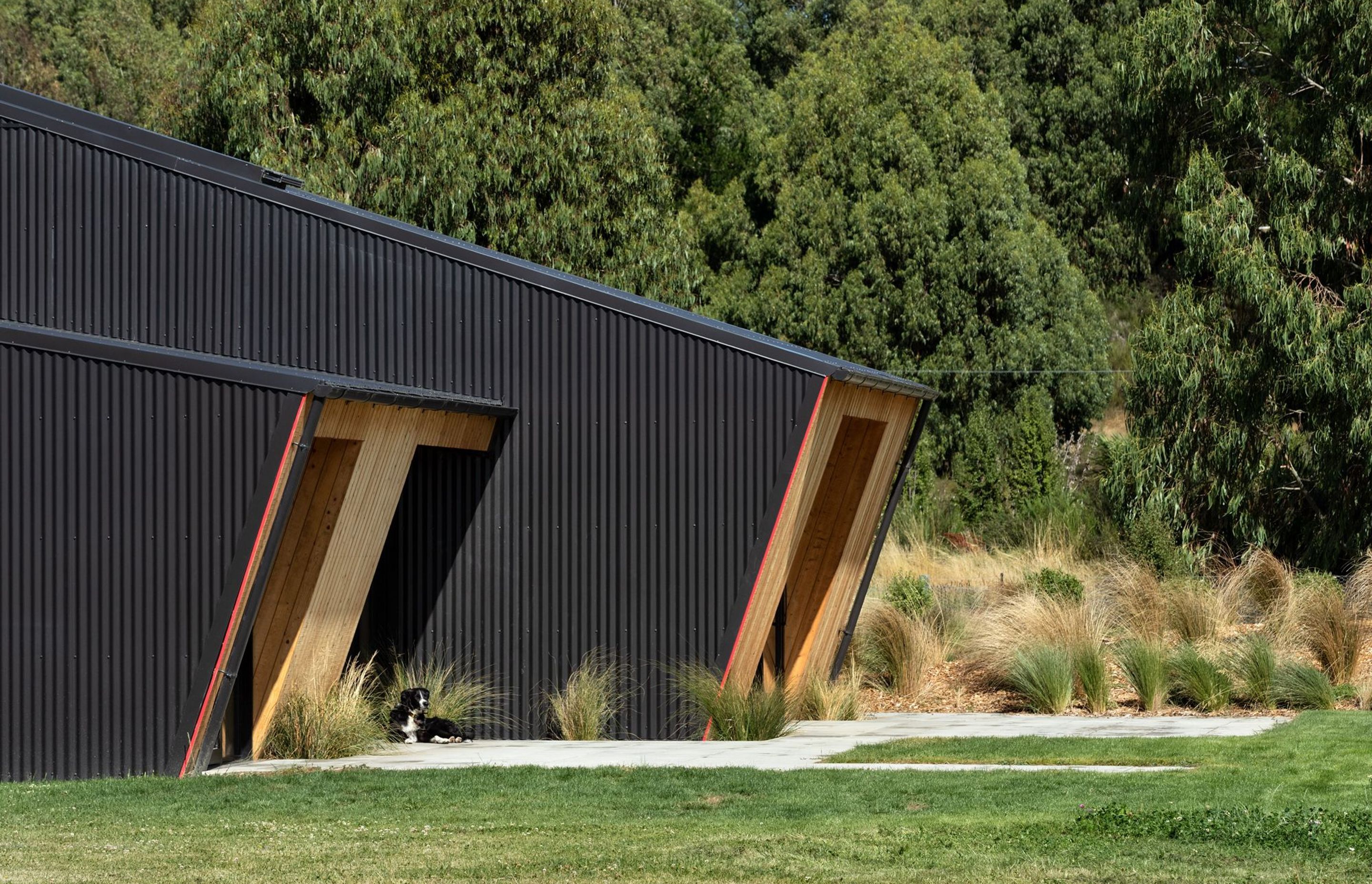 Vertical larch is juxtaposed with corrugated Colorsteel roofing that folds down from the roof.