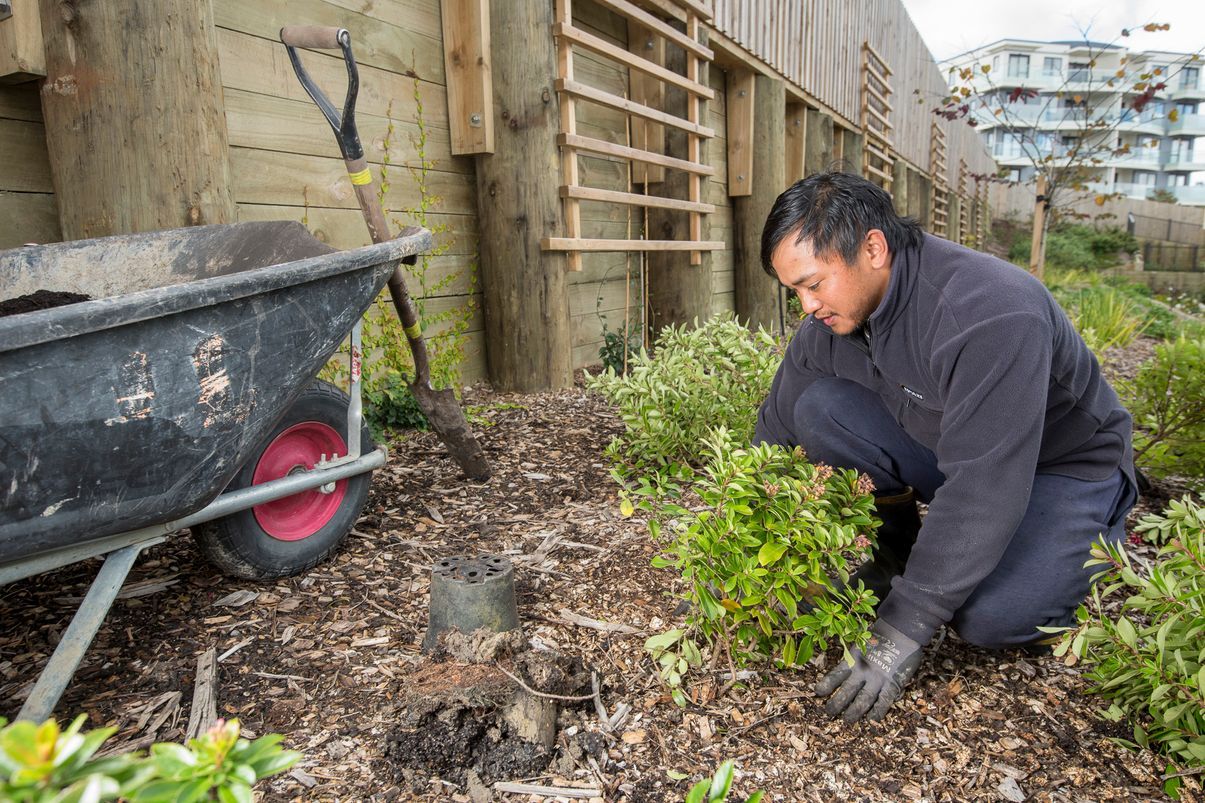 Luijten Landscaping