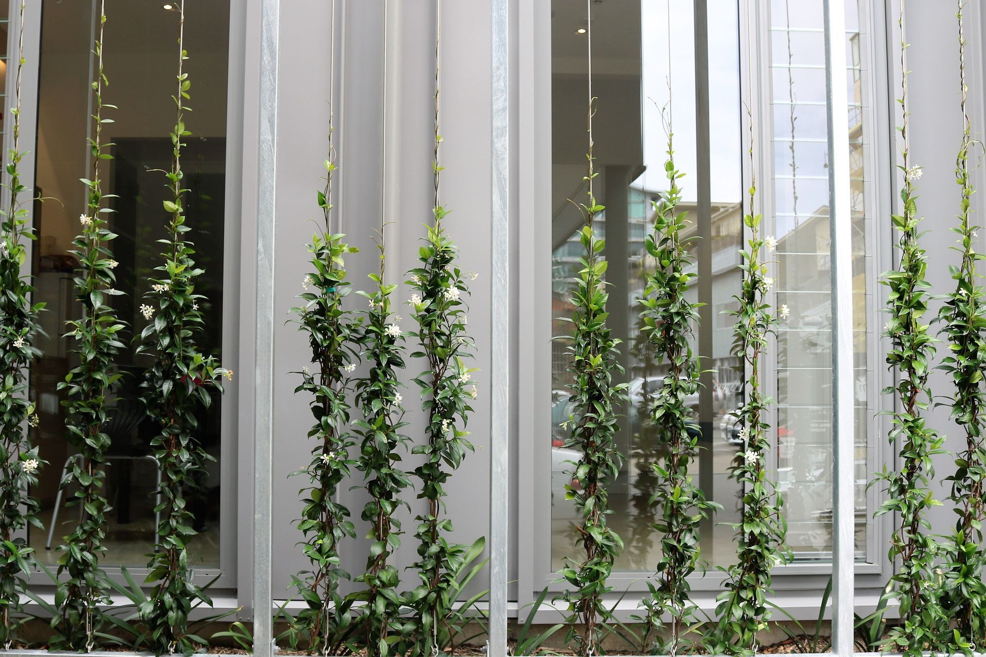 Renovation & landscape architecture by Bonnifait + Giesen; planting design by HEDGE