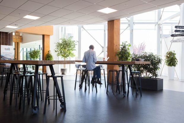 Bright contemporary commercial interior resembling a shared workplace or hospitality lounge, with a long timber communal counter, numerous tall black bar stools, high tables, indoor plants in large planters, exposed timber columns, and extensive floor-to-ceiling glazing. The space has a suspended acoustic tile ceiling, polished dark flooring, and abundant natural light. Directional signage and a reception or branded area are visible in the background.