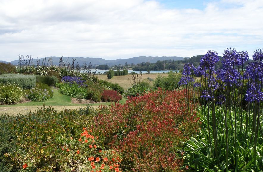 Mangawhai Garden