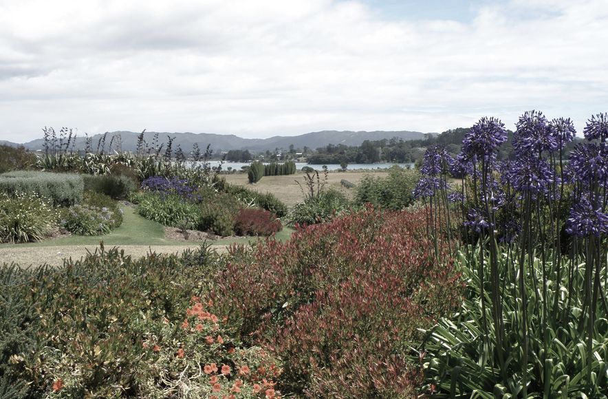 Mangawhai Garden