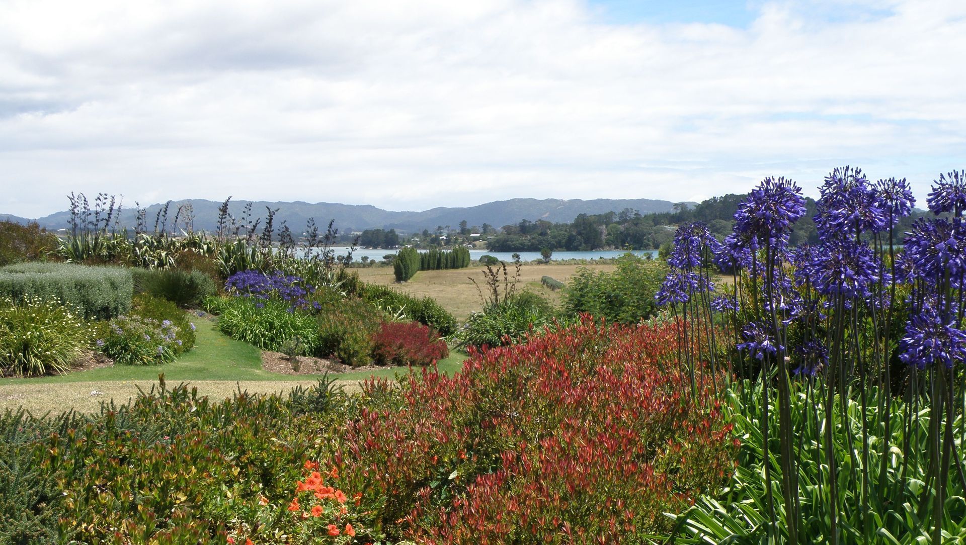 Mangawhai Garden banner