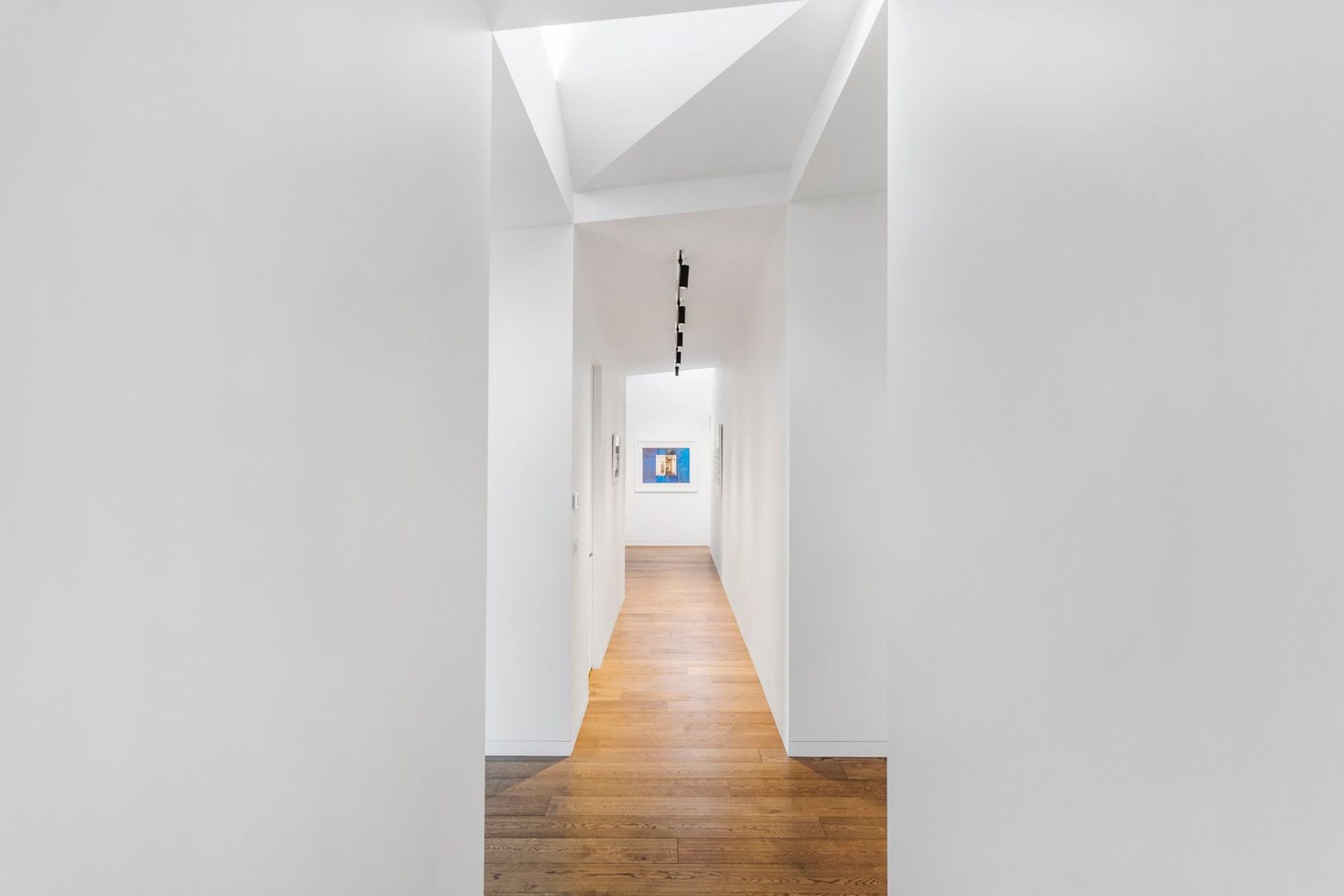 Two triangular skylights, one in the entranceway and the other at the end of the hallways, create a light-filled gallery space, perfect for showing the owner's art collection.
