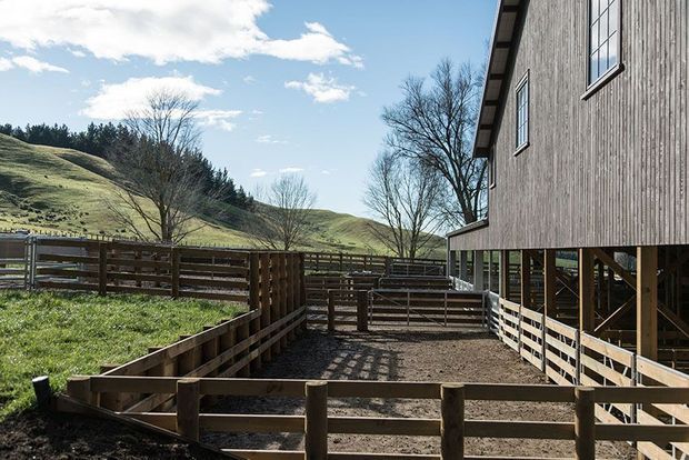 Exterior view of a raised timber-clad rural building beside fenced livestock yards and pasture. The structure has vertical weathered wood cladding, elevated timber supports, a simple pitched roof, and large windows, with rolling grassy hills and trees in the background.