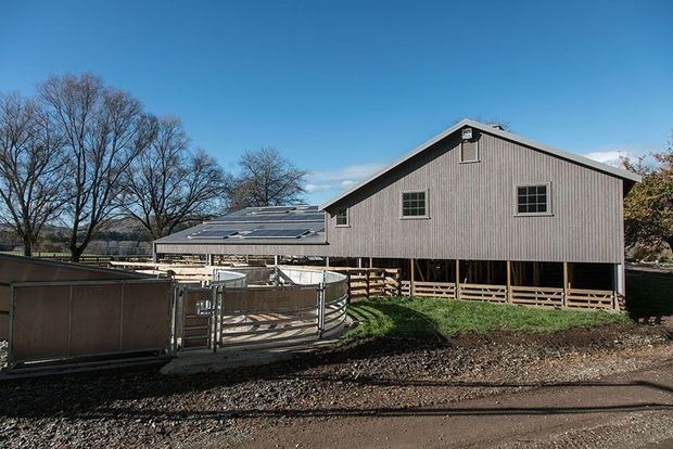 Exterior view of a raised barn-style building with grey vertical cladding, a pitched gable roof, multiple windows, and a long low solar-panel-covered structure extending to the side. Fenced animal pens and a gravel access area are visible in the foreground, with leafless trees and a clear blue sky in the background.