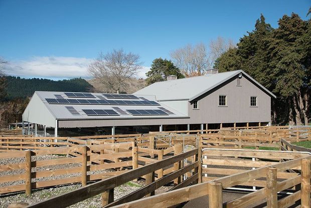 Exterior view of a large rural farm or equestrian facility with a grey gabled building, attached covered structure fitted with extensive solar panels, and extensive timber-fenced animal pens in the foreground. Mature trees and a clear blue sky surround the property.