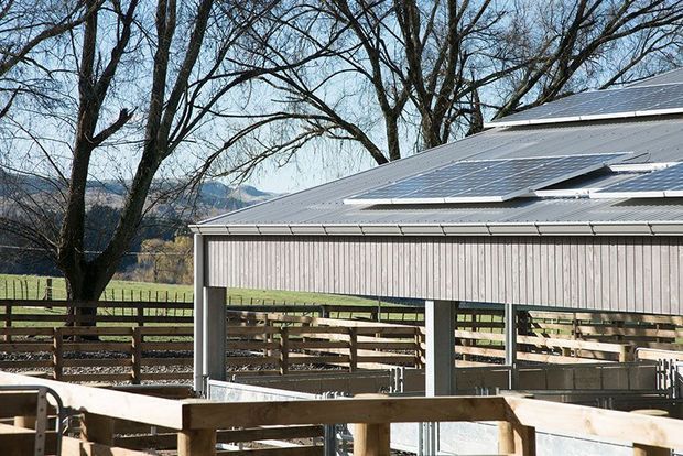 Exterior view of a long, agricultural-style covered structure with corrugated light-grey metal cladding and a low-pitched roof fitted with multiple solar panels. Timber fencing and open livestock pens occupy the foreground, with mature deciduous trees and rural pasture beyond.