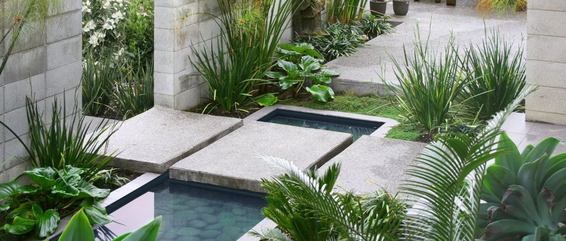 Hero Banner for Canopy Landscape Architects