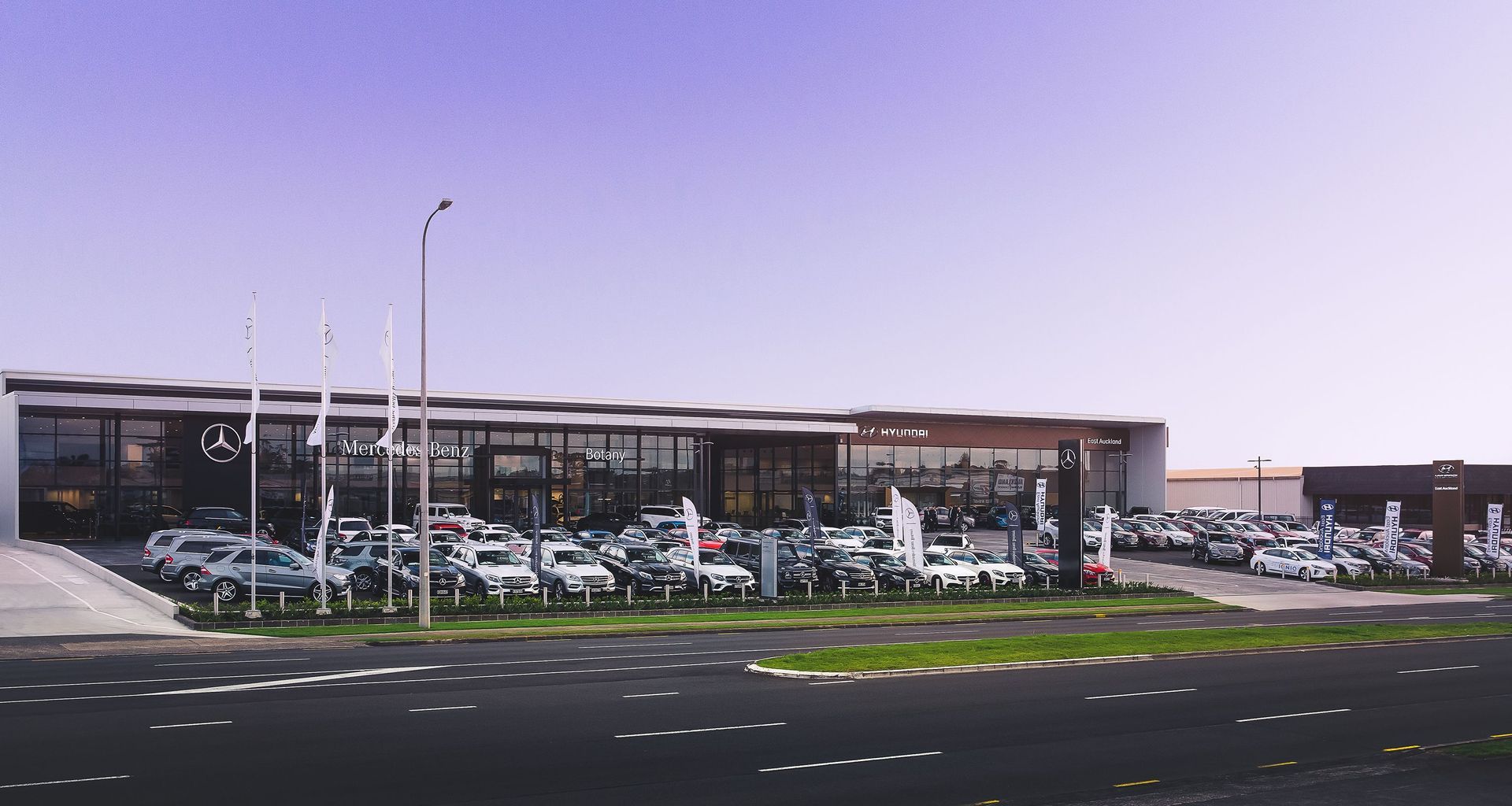 Mercedes Benz Botany banner