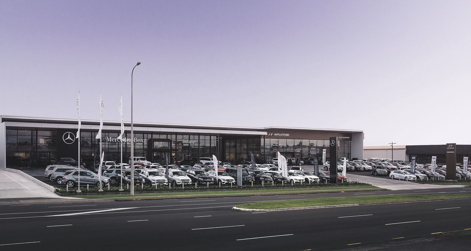Mercedes Benz Botany banner