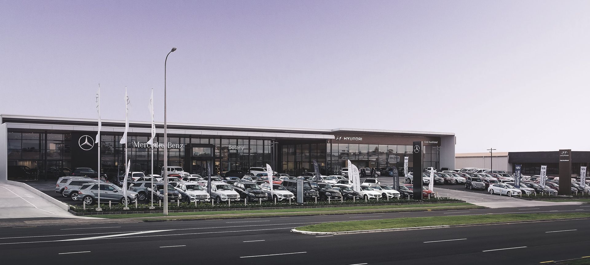 Mercedes Benz Botany banner