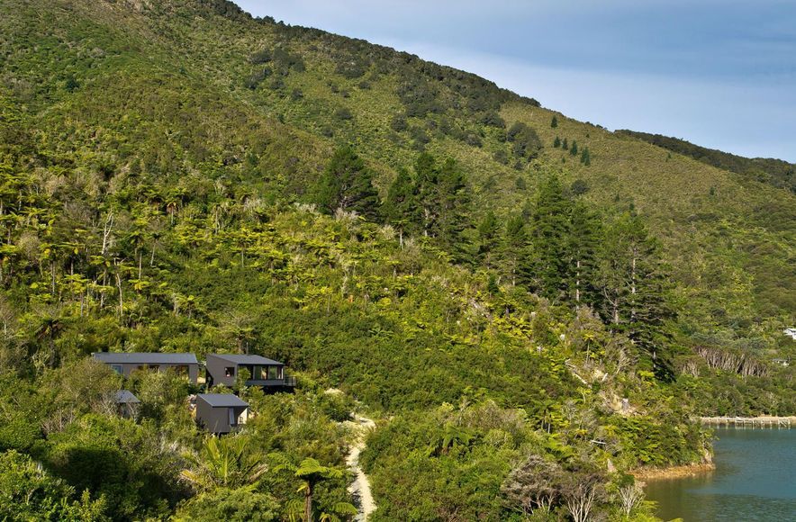 Miro Bay Bach