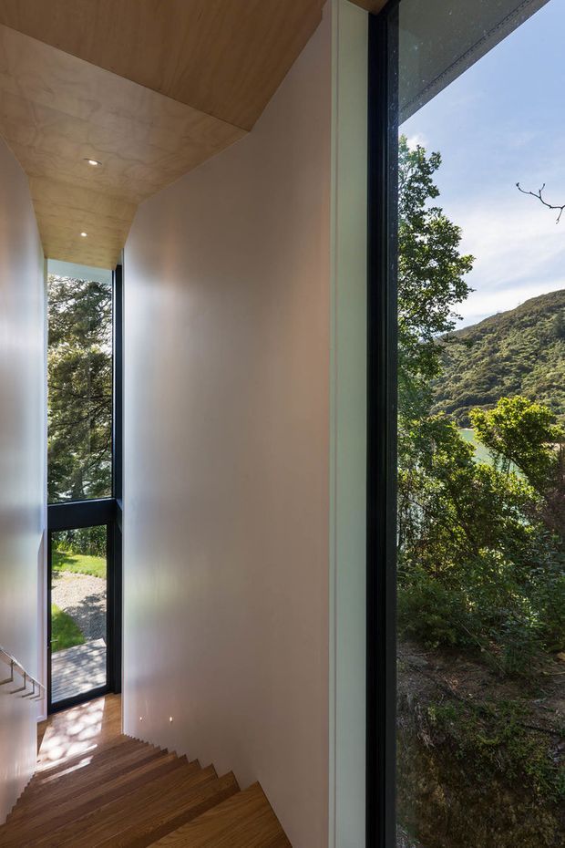 A narrow, light-filled interior stairway descends beside large floor-to-ceiling black-framed glazing. The stair treads and angular ceiling soffit are finished in warm timber, while the walls are smooth pale plaster. Views through the glazing show dense vegetation, a steep wooded hillside and water beyond. Recessed downlights illuminate the circulation space.
