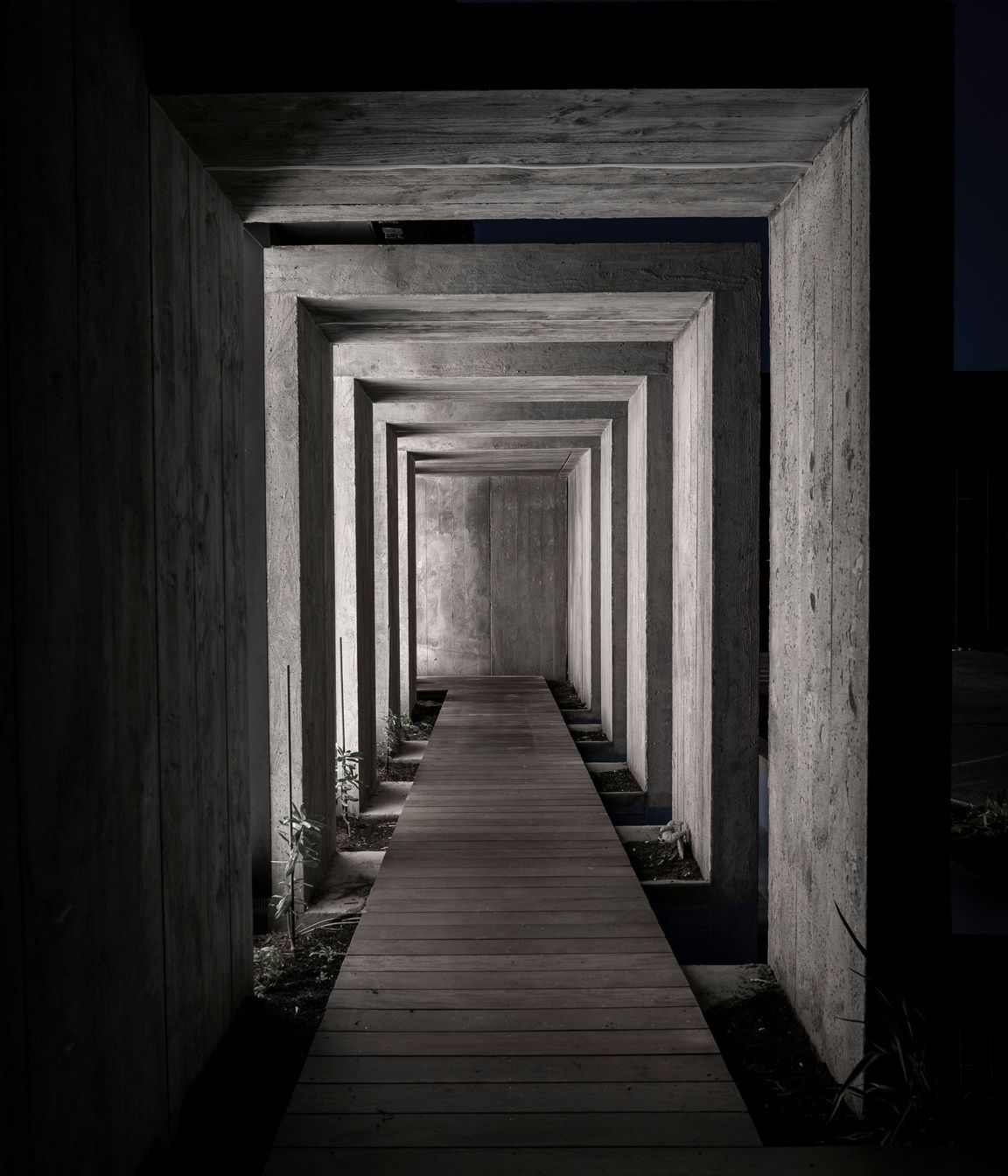 The external corridor creates an amazing entrance to the house and can also be used as a gallery space for artworks.