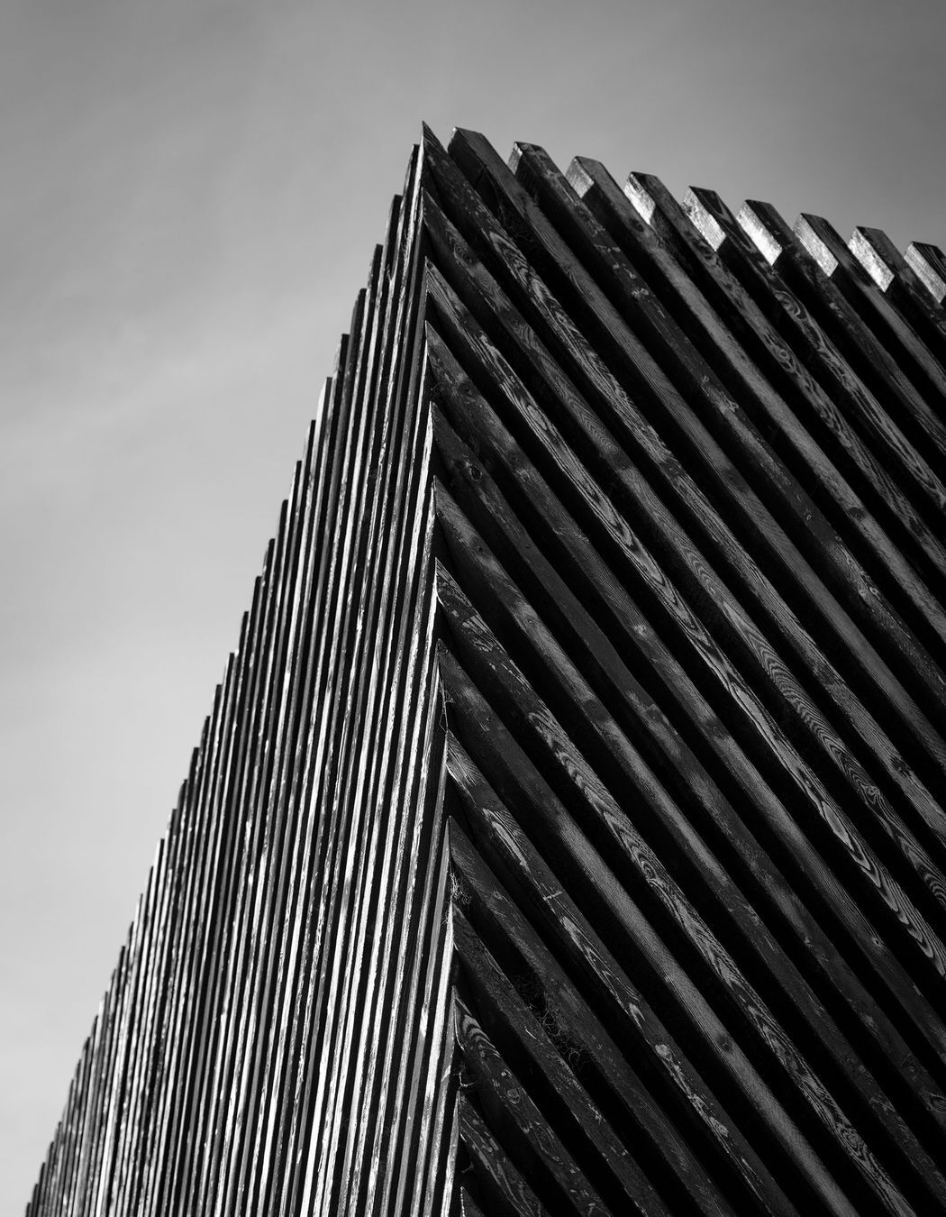 Mitred corners on the angled larch cladding adds a sculptural element to the building.