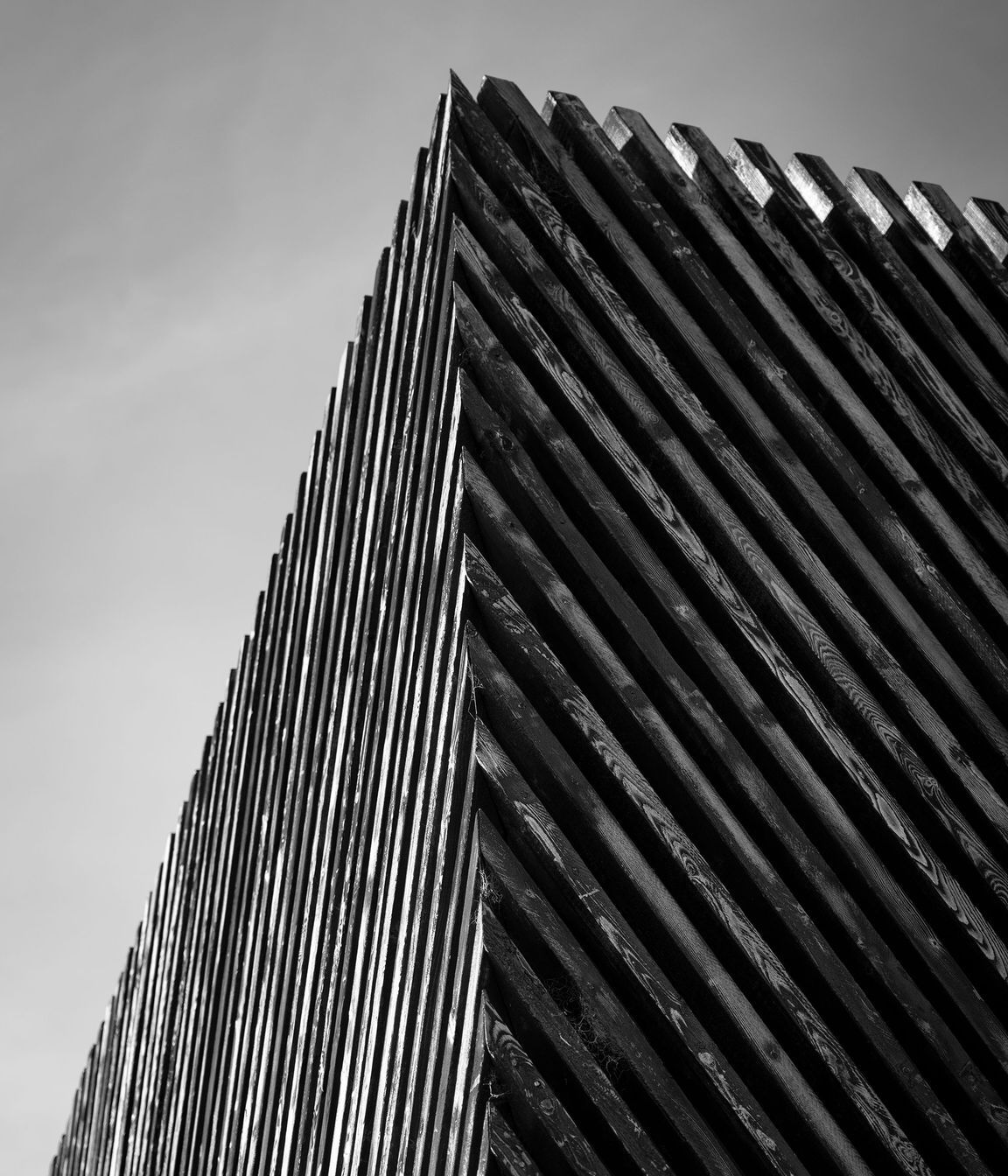 Mitred corners on the angled larch cladding adds a sculptural element to the building.