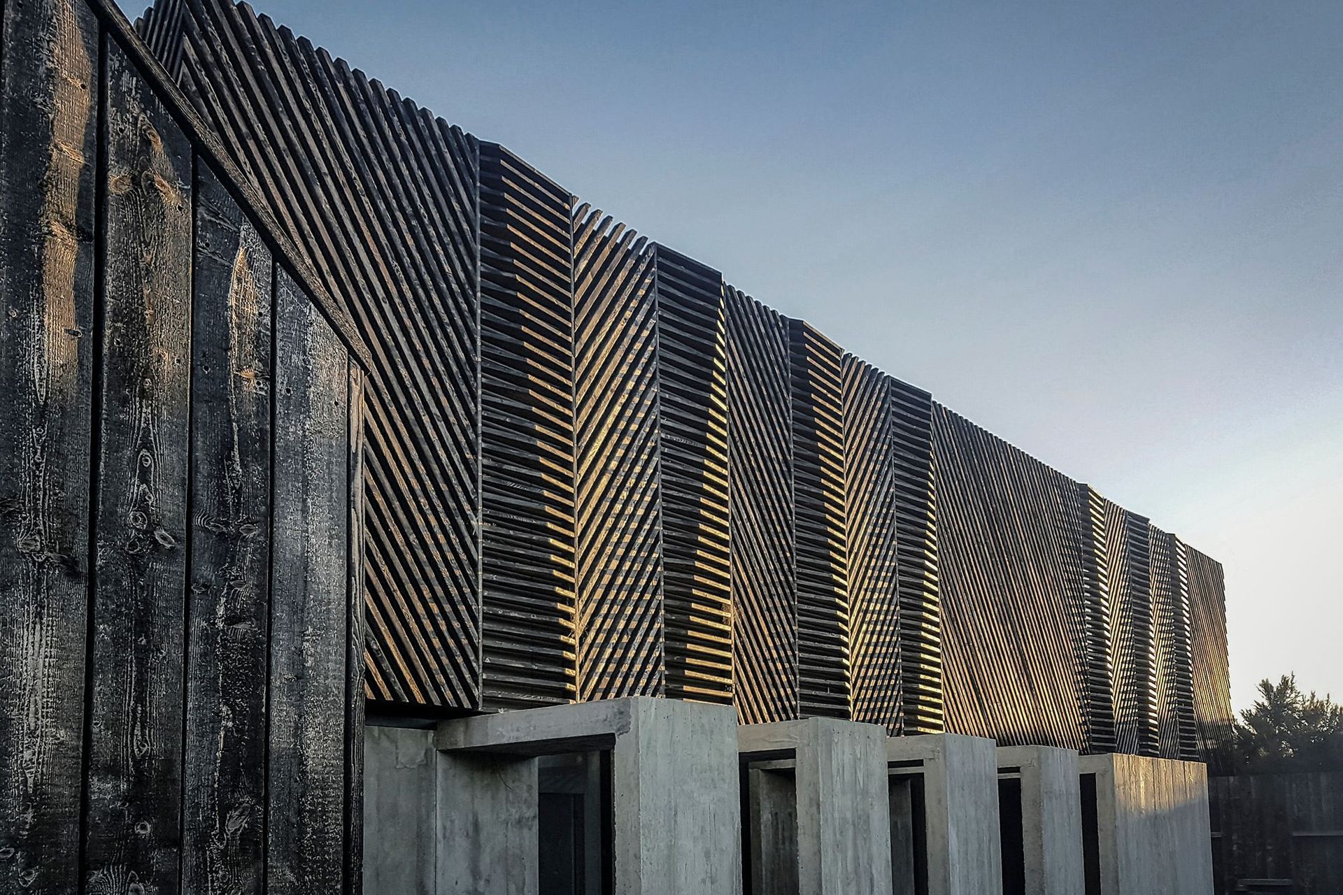 The patterned cladding and rainscreening interprets the windswept form of the native kanuka trees that can be found on the property.