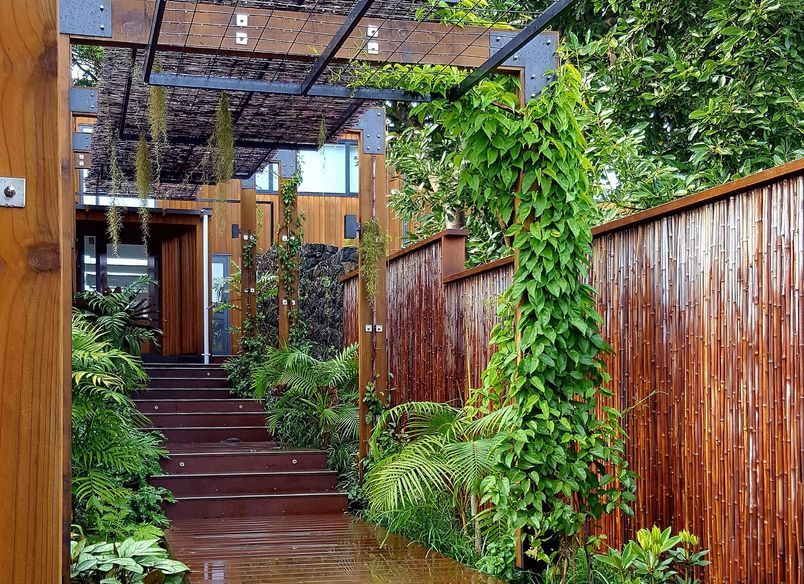 Mt Eden Garden