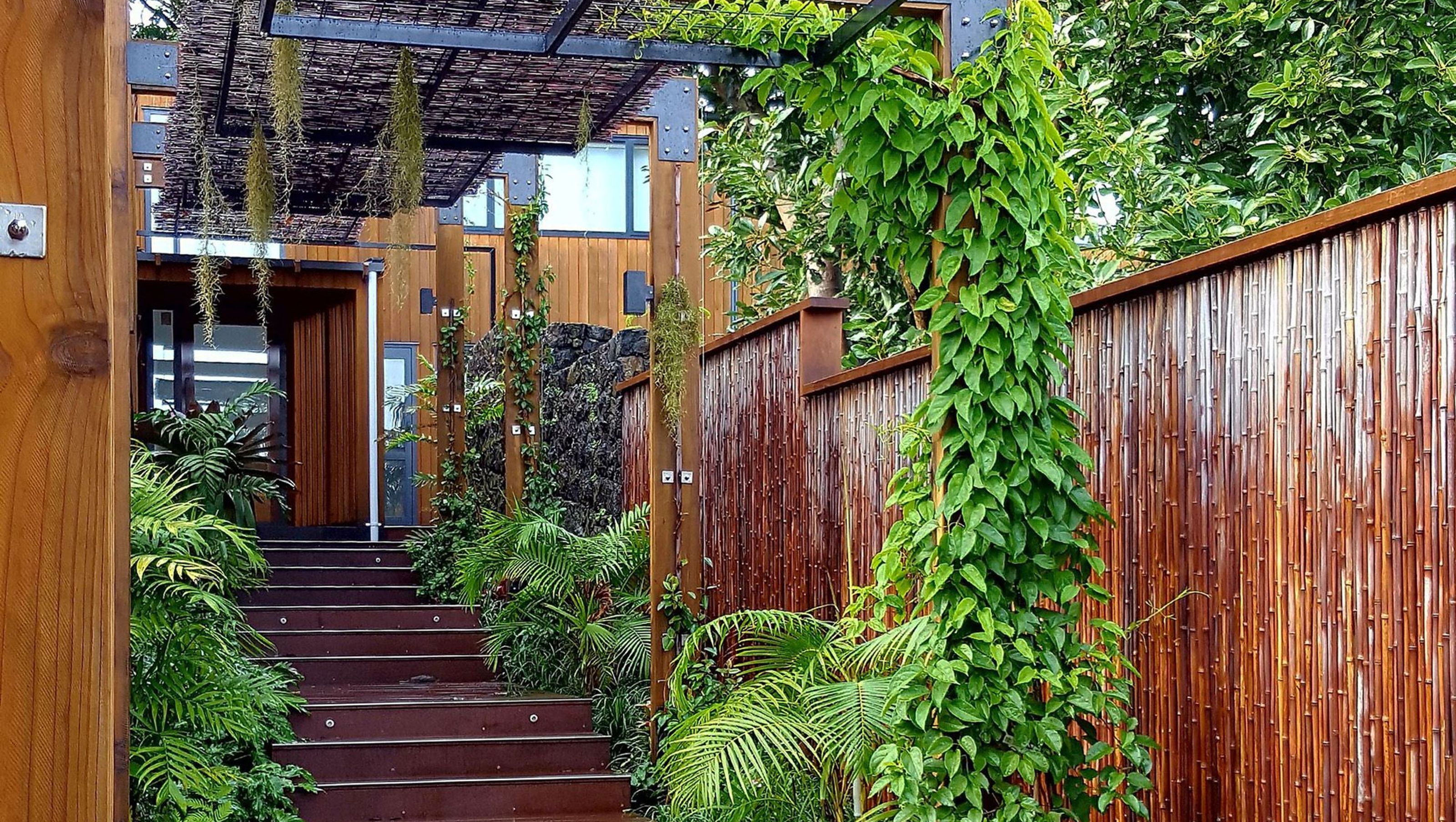 Mt Eden Garden